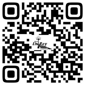 Q R code for online payment website